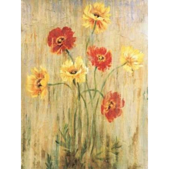 Poppy Serenade Poster Print by Liz Jardine-VARPDXJLP483 Image 2