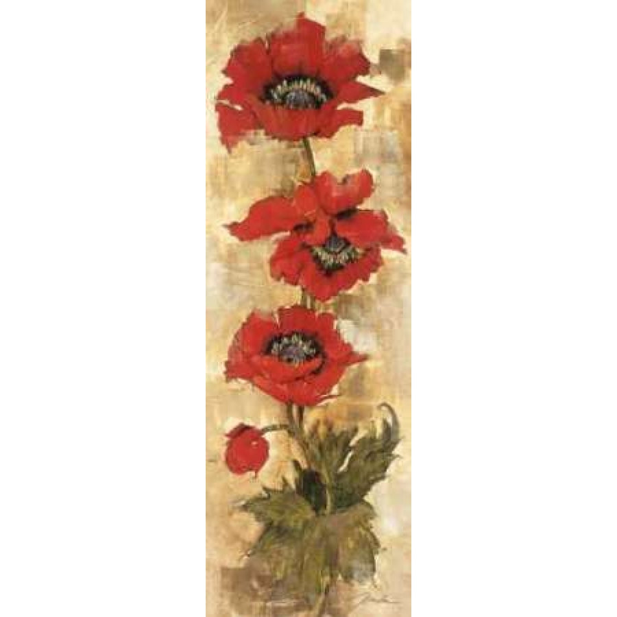 Strand of Poppies II Poster Print by Liz Jardine-VARPDXJLP496 Image 1