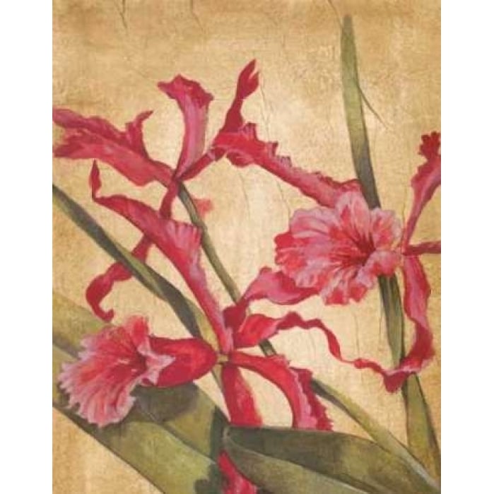 Hawaiian Tropics I Poster Print by Liz Jardine-VARPDXJLP509 Image 1