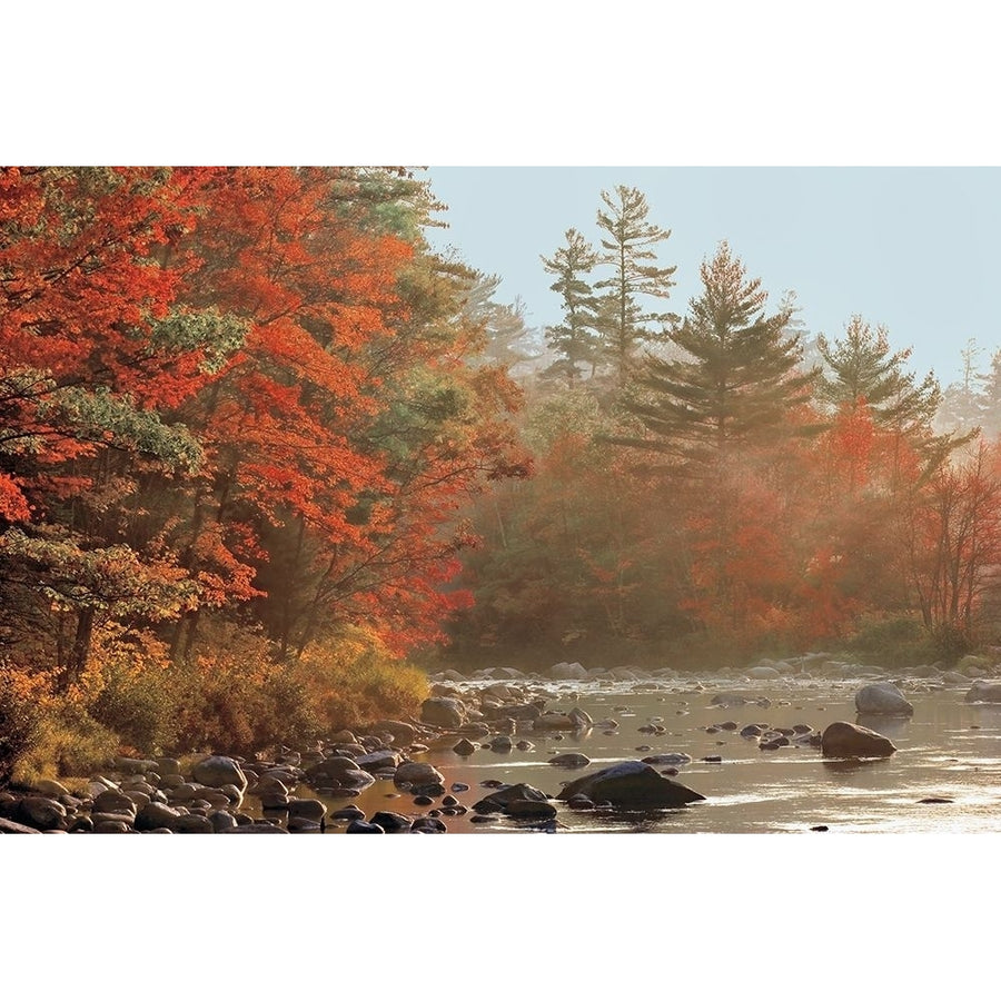 Foggy River Poster Print by Mike Jones-VARPDXJMP332 Image 1