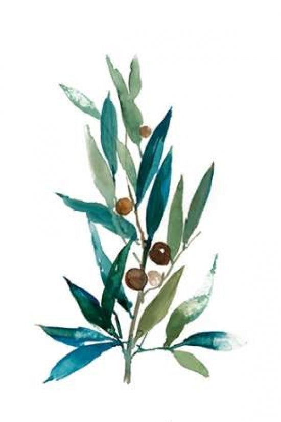 Olive Branch I Poster Print by Asia Jensen-VARPDXJN027A Image 1