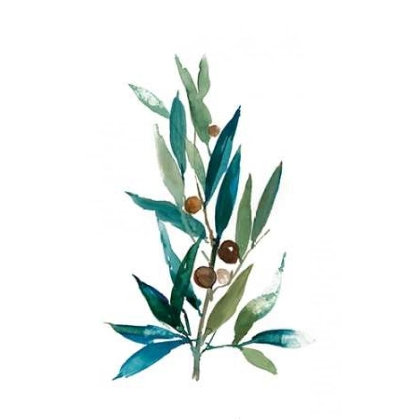 Olive Branch I Poster Print by Asia Jensen-VARPDXJN027A Image 2