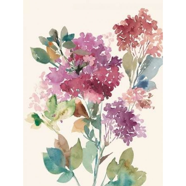 Sweet Hydrangea I Poster Print by Asia Jensen-VARPDXJN046A Image 2