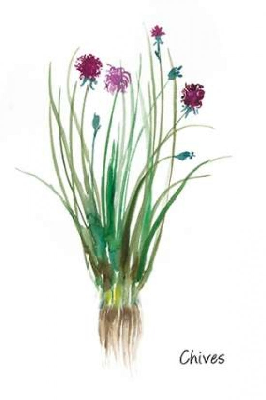 Chives Poster Print by Asia Jensen-VARPDXJN061A Image 1