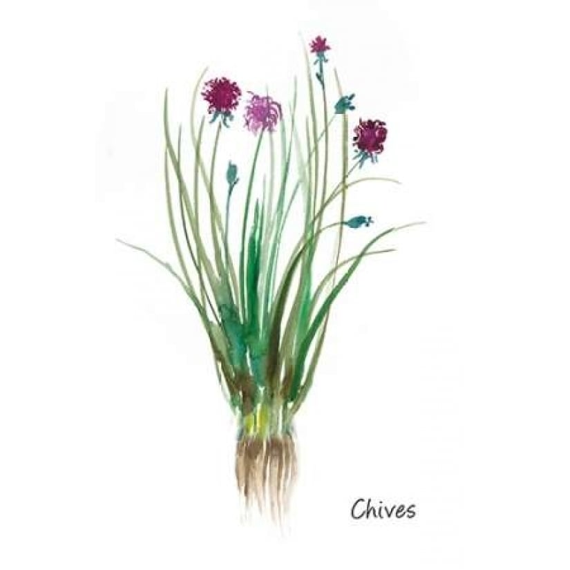 Chives Poster Print by Asia Jensen-VARPDXJN061A Image 2