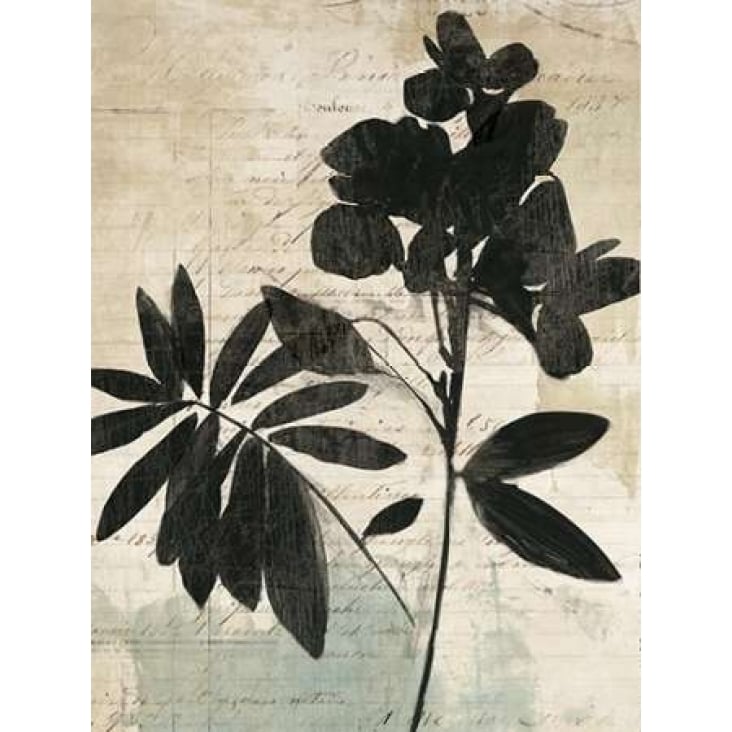 Inky Floral II Poster Print by Asia Jensen-VARPDXJN059A Image 2