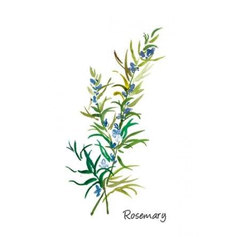 Rosemary II Poster Print by Asia Jensen-VARPDXJN066A Image 1