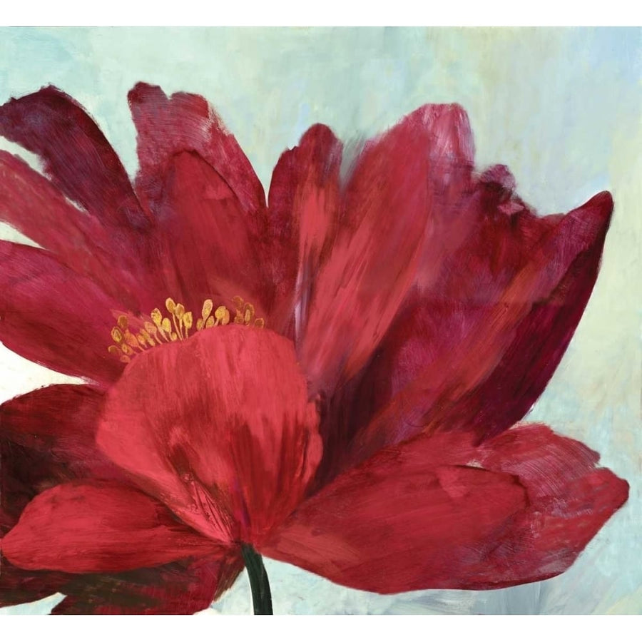 Passionate Flower Poster Print by Asia Jensen-VARPDXJN154A Image 1