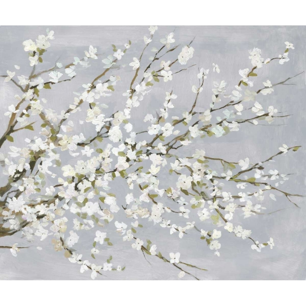 White Blossoms Poster Print by Asia Jensen-VARPDXJN198A Image 1