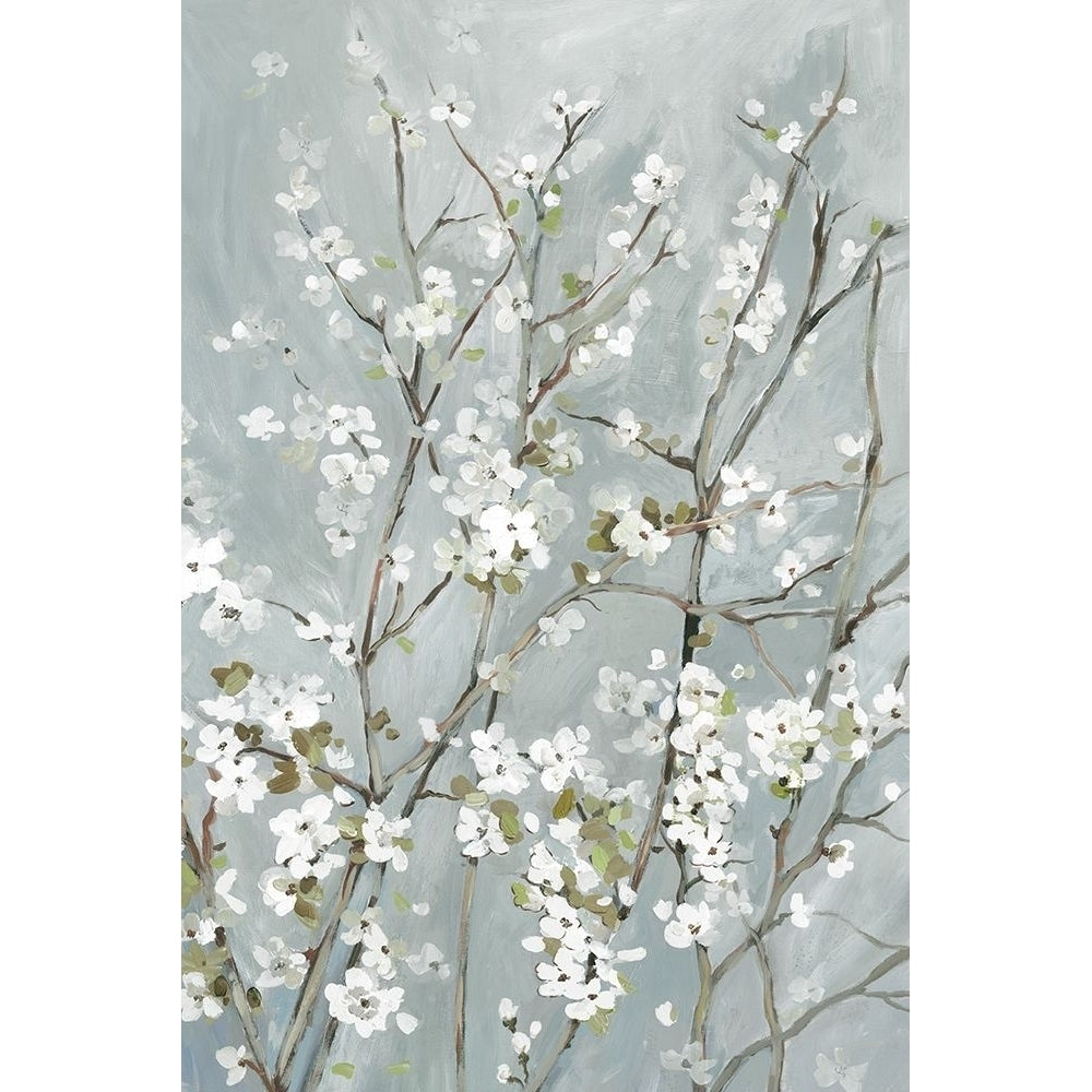 Light Almond Blossoms Poster Print by Asia Jensen-VARPDXJN240A Image 1