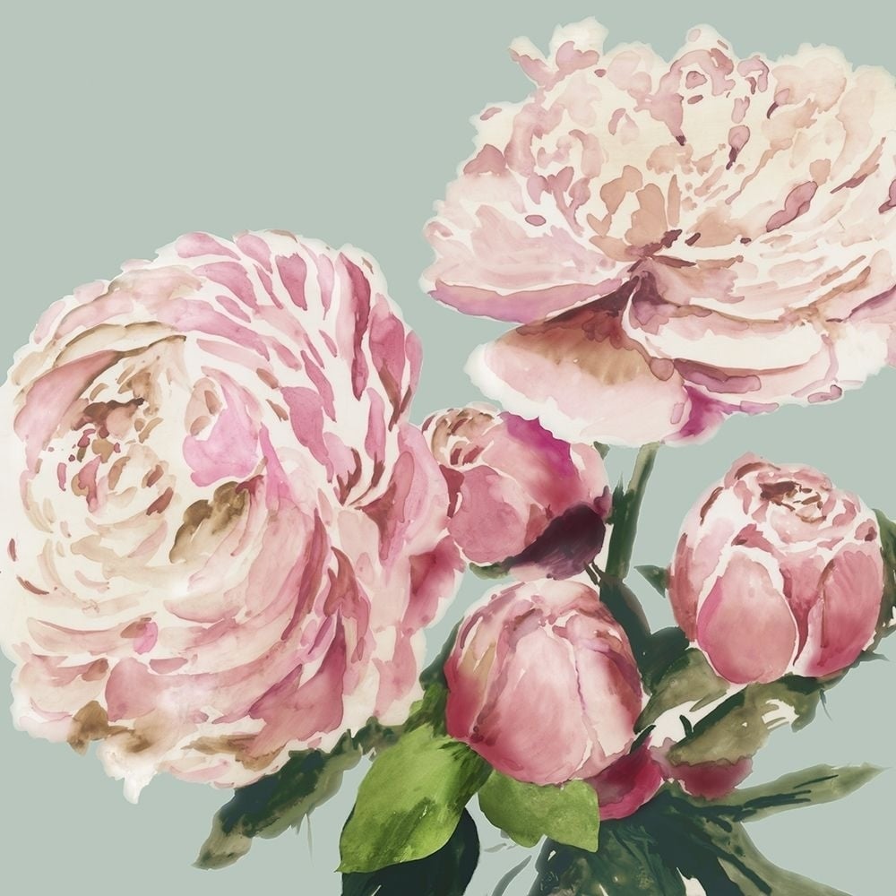 Pink Peony II Poster Print by Asia Jensen-VARPDXJN279A Image 1