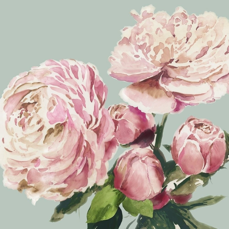 Pink Peony II Poster Print by Asia Jensen-VARPDXJN279A Image 1