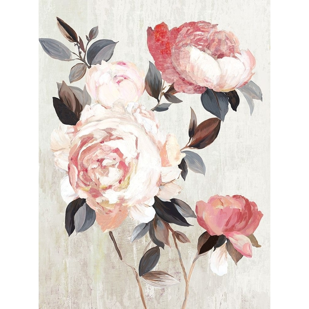 Bloom of Blush Poster Print by Asia Jensen-VARPDXJN379A Image 1