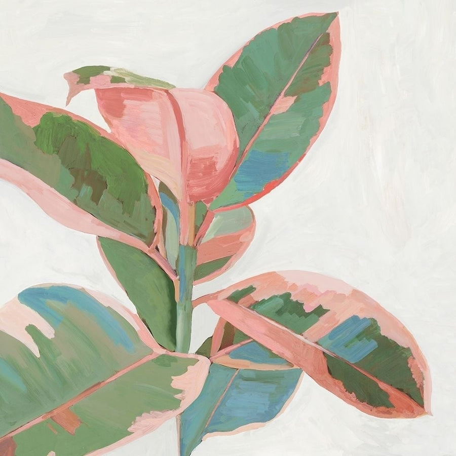 Pink Ficus I Poster Print by Asia Jensen-VARPDXJN438A Image 1