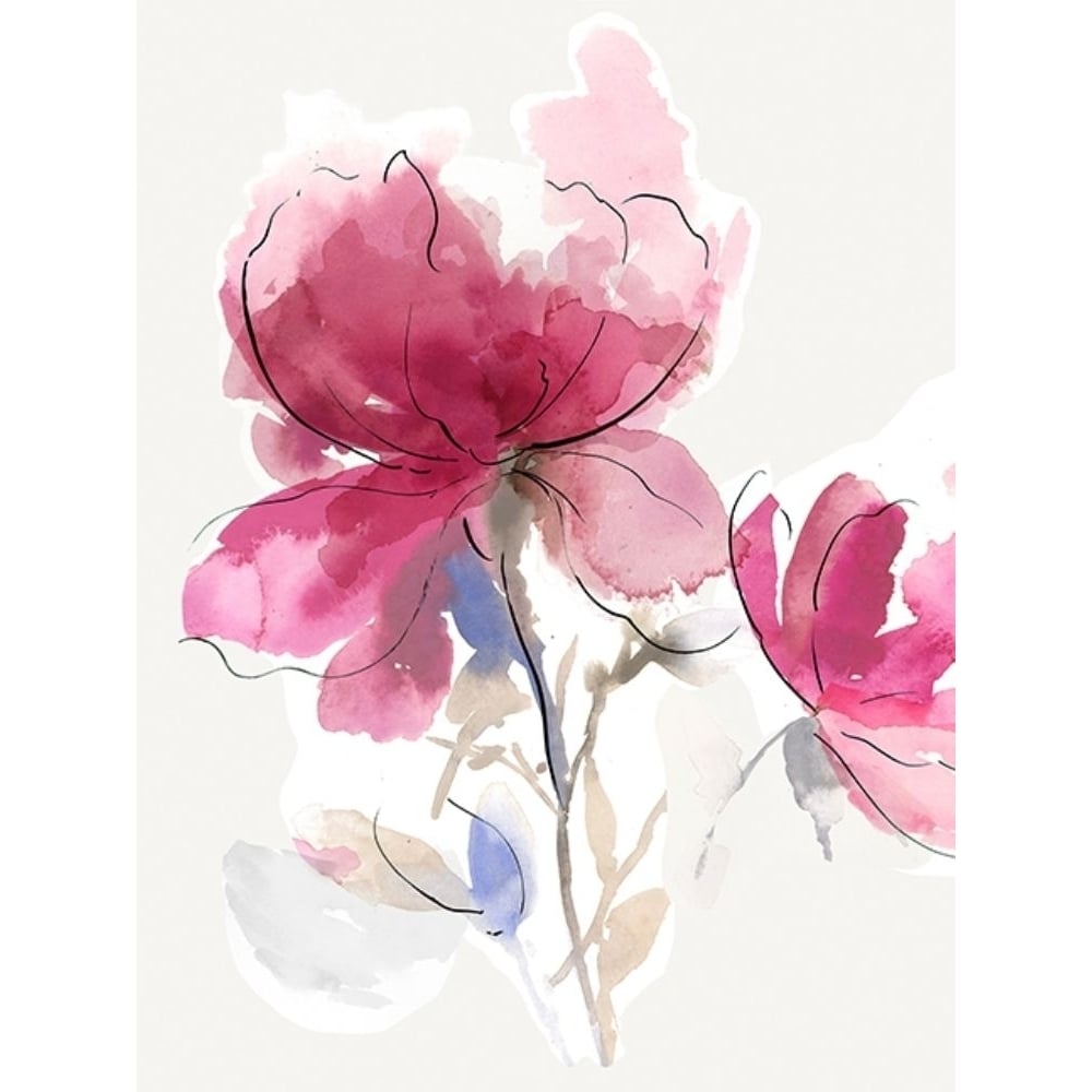 Rosy Bloom I Poster Print by Asia Jensen-VARPDXJN476A Image 1