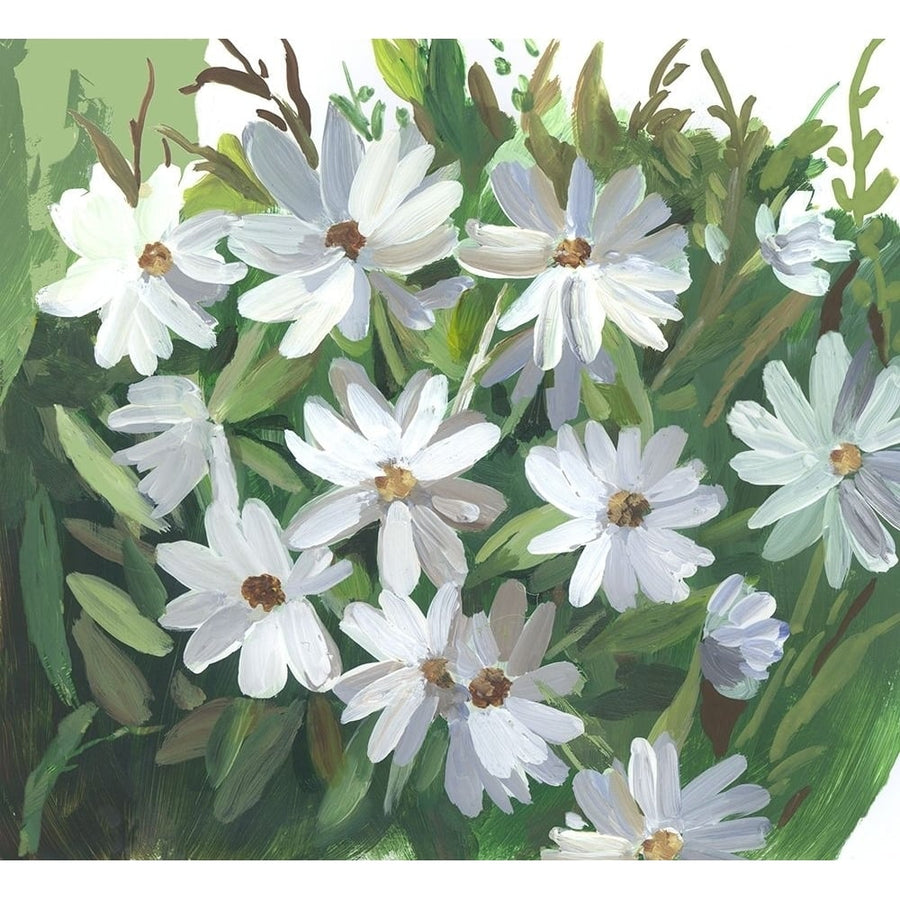 Daisy Field Poster Print by Asia Jensen-VARPDXJN485A Image 1