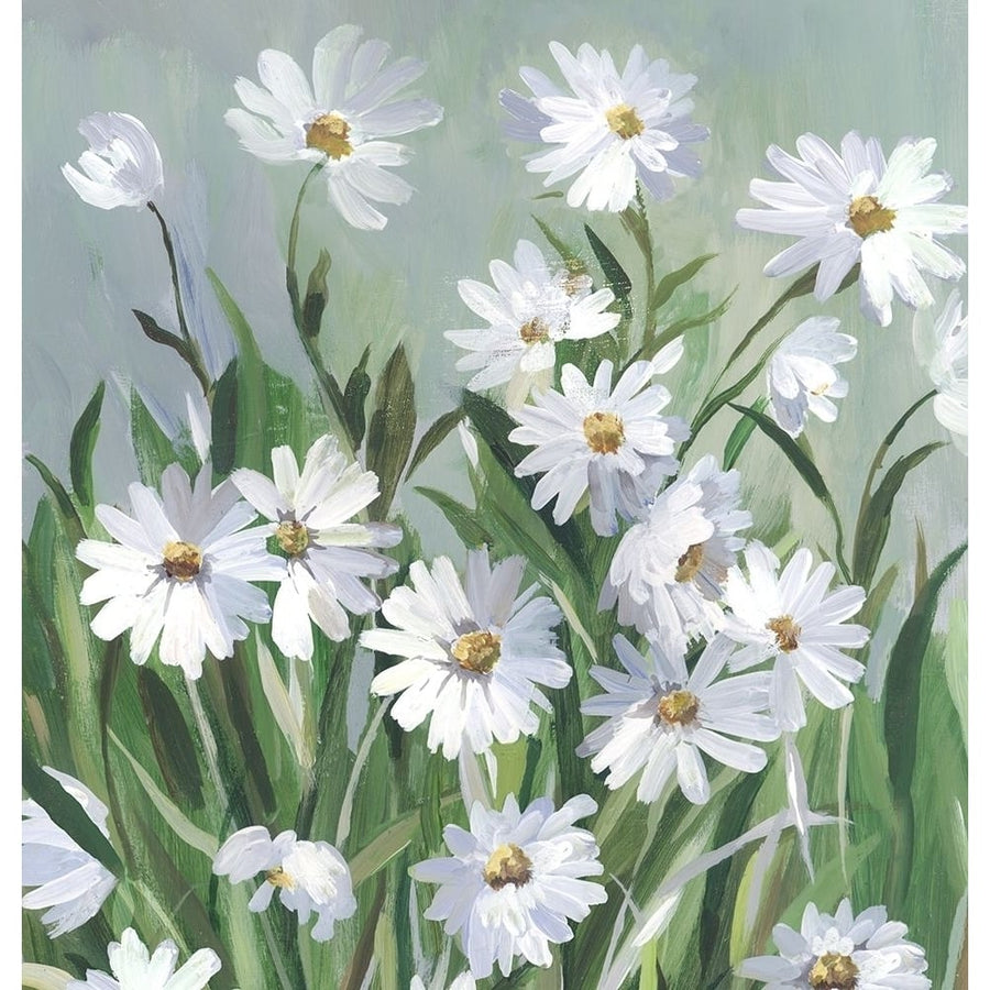 Daisy Day by Asia Jensen-VARPDXJN484A Image 1