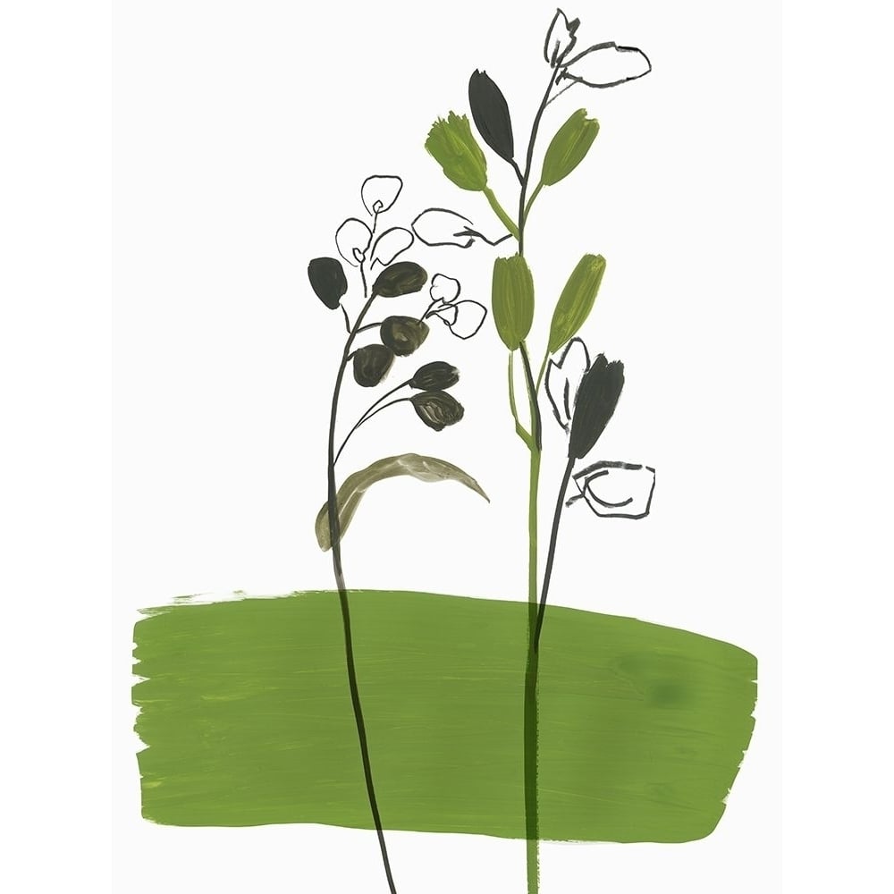 Little Herb I Poster Print by Asia Jensen-VARPDXJN509A Image 1