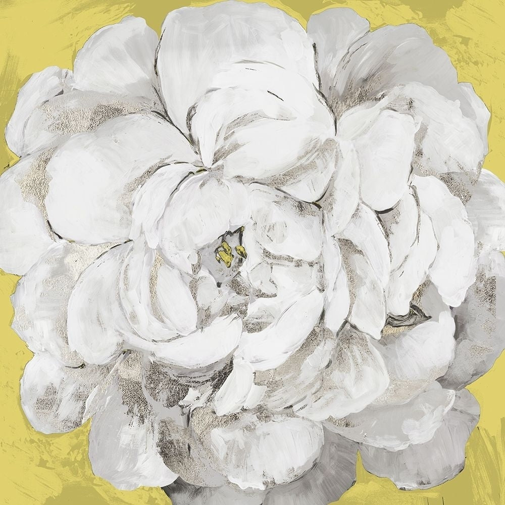 White Peonia Yellow Version by Asia Jensen-VARPDXJN527C Image 1