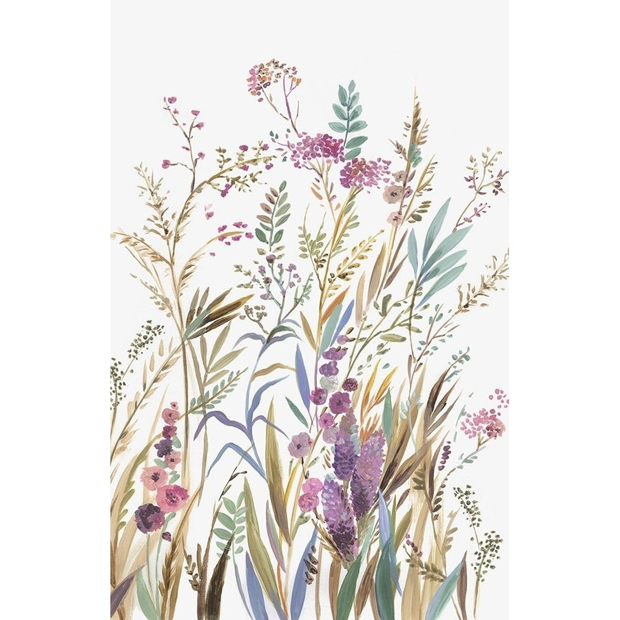 Fields of Wild Pink II by Asia Jensen-VARPDXJN570A Image 1