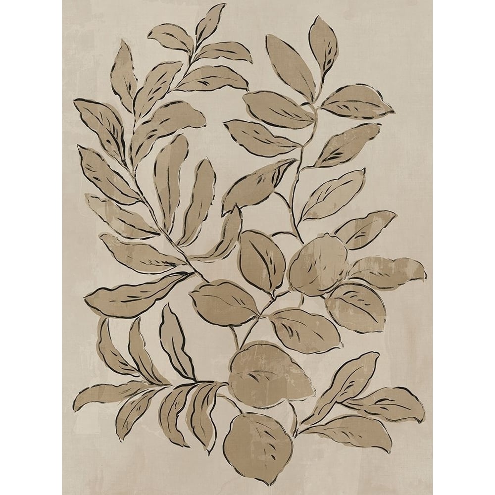 Leaves Sketches I by Asia Jensen-VARPDXJN588A Image 1