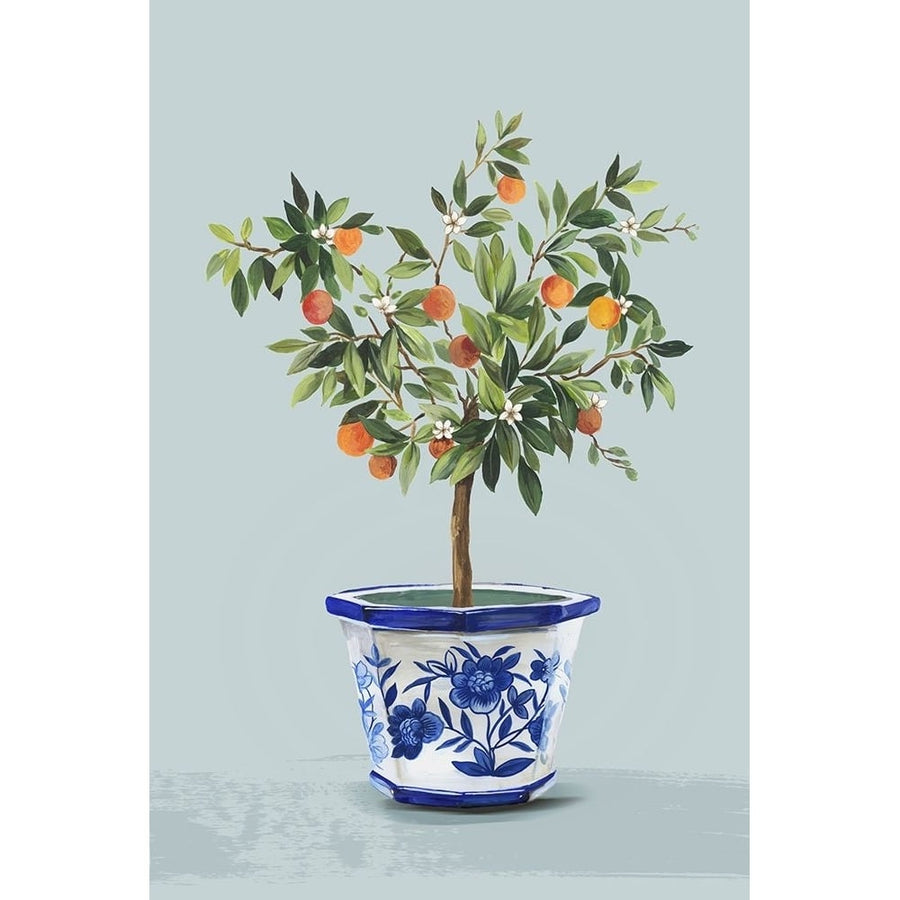 Orange Tree Poster Print - Asia Jensen-VARPDXJN603A Image 1