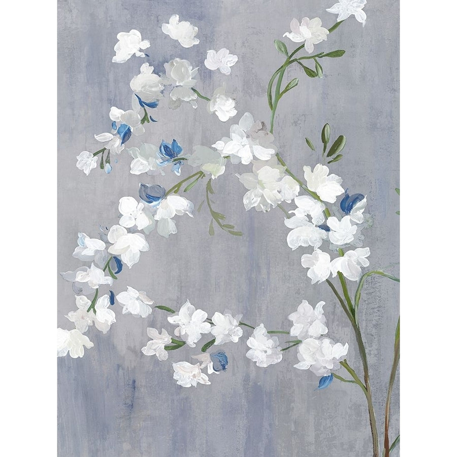 Blue White Blossoms I Poster Print - Asia Jensen-VARPDXJN712A Image 1