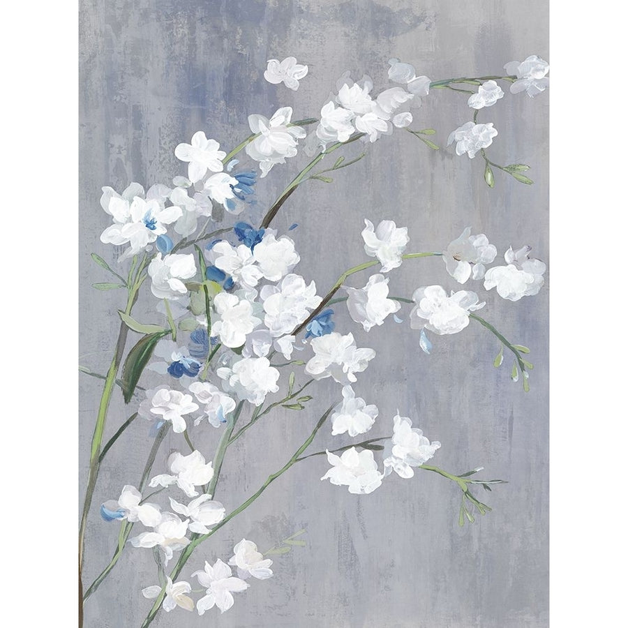 Blue White Blossoms II Poster Print - Asia Jensen-VARPDXJN713A Image 1