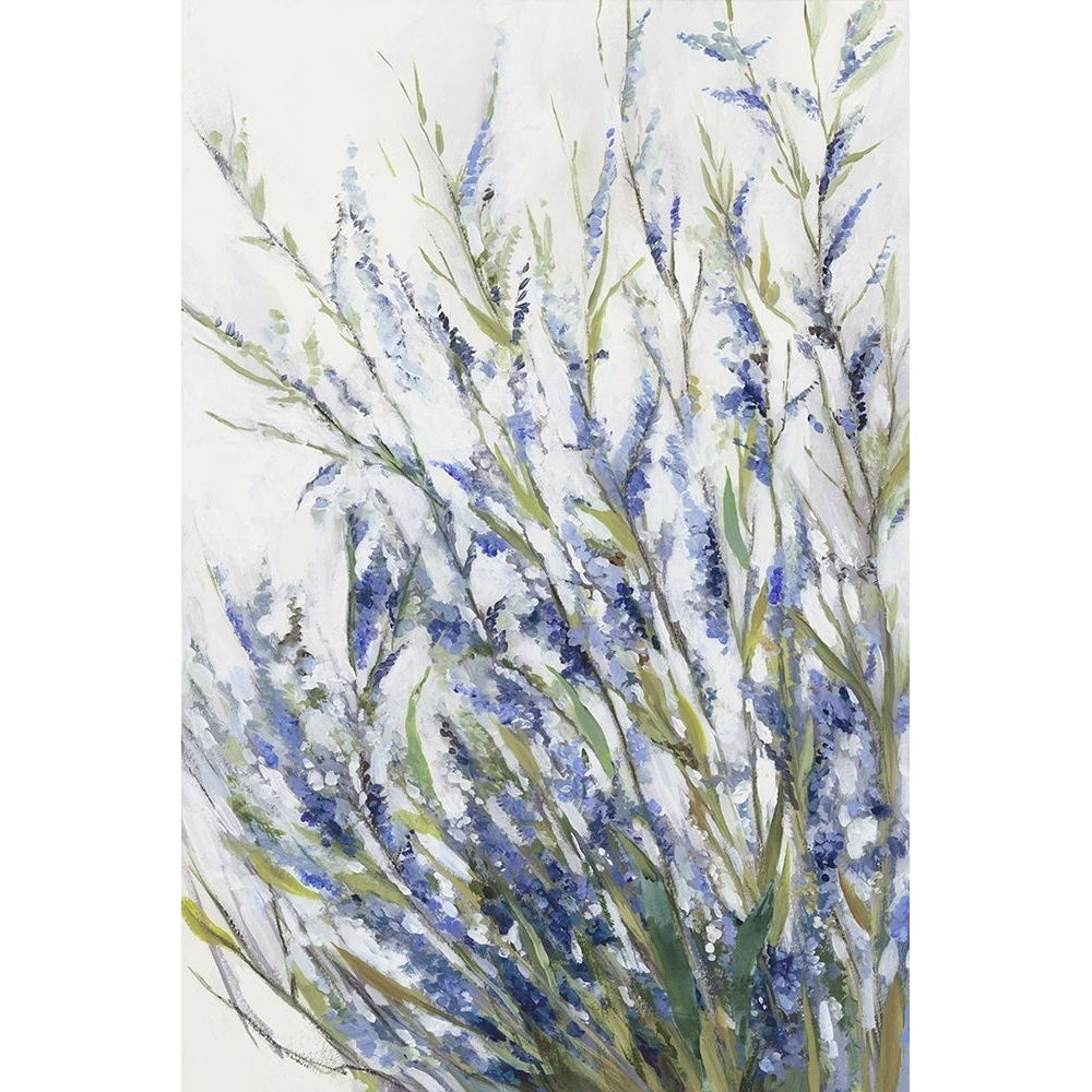 Lavender Flourish Poster Print - Asia Jensen-VARPDXJN789A Image 1