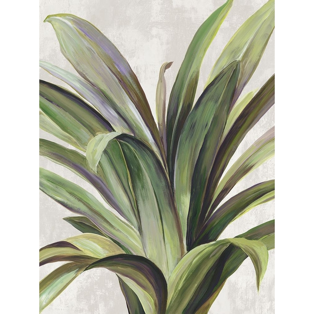 Flourishing Foliage I Poster Print - Asia Jensen-VARPDXJN813A Image 1