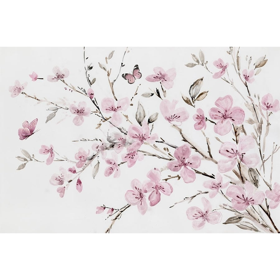 Rosy Blooms Poster Print - Asia Jensen-VARPDXJN807A Image 1