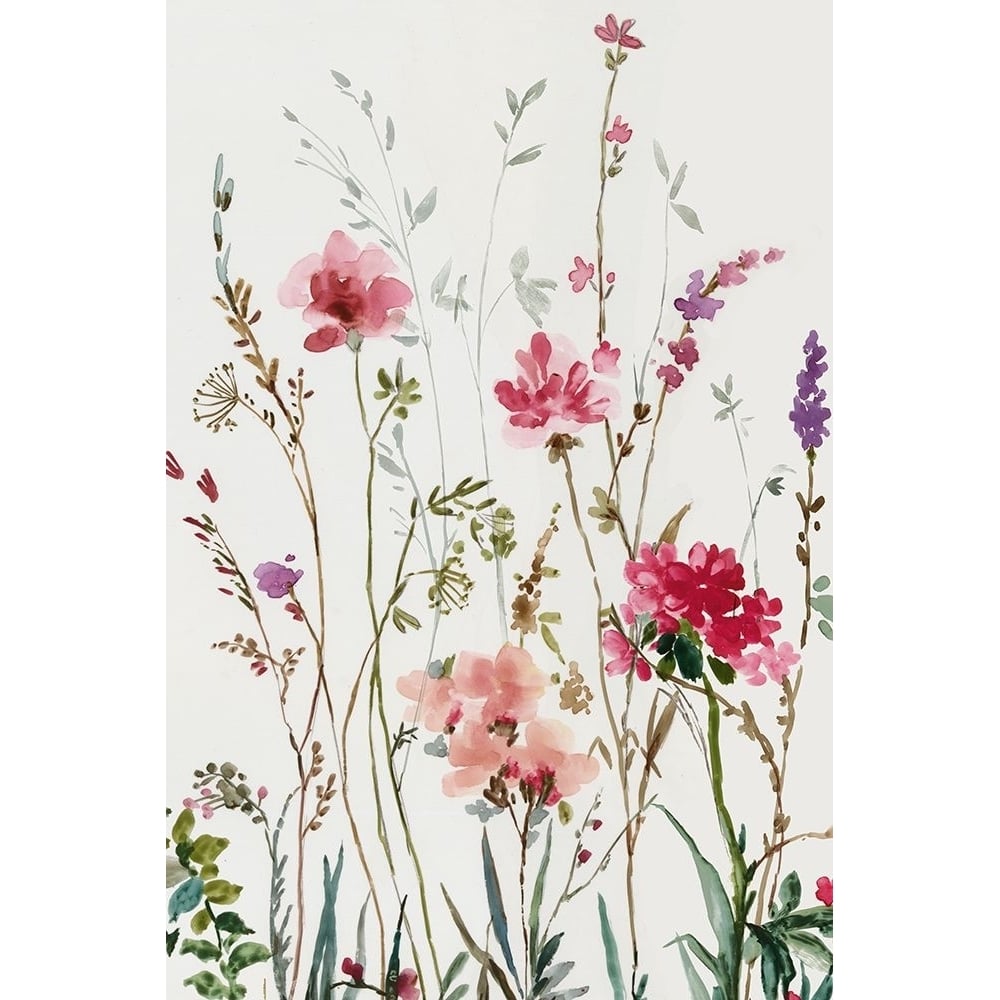 Pink Wild Flowers I Poster Print - Asia Jensen-VARPDXJN831A Image 1