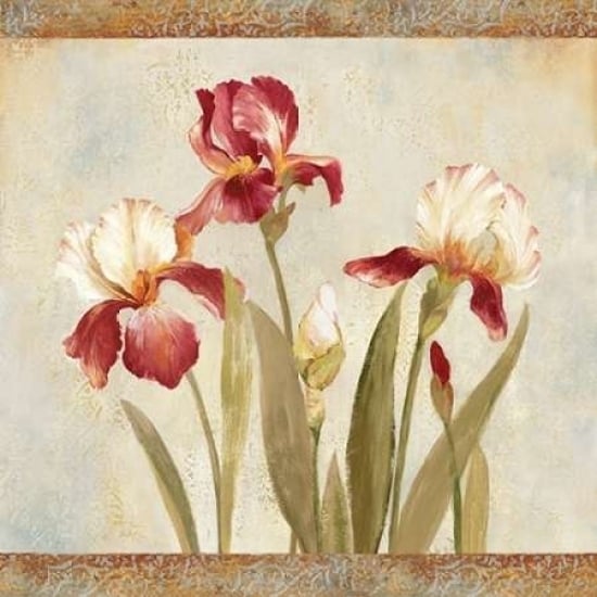 Iris Tapestry II Poster Print by Asia Jensen-VARPDXJNN20 Image 1