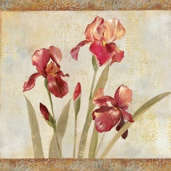 Iris Tapestry I Poster Print by Asia Jensen-VARPDXJNN19 Image 1