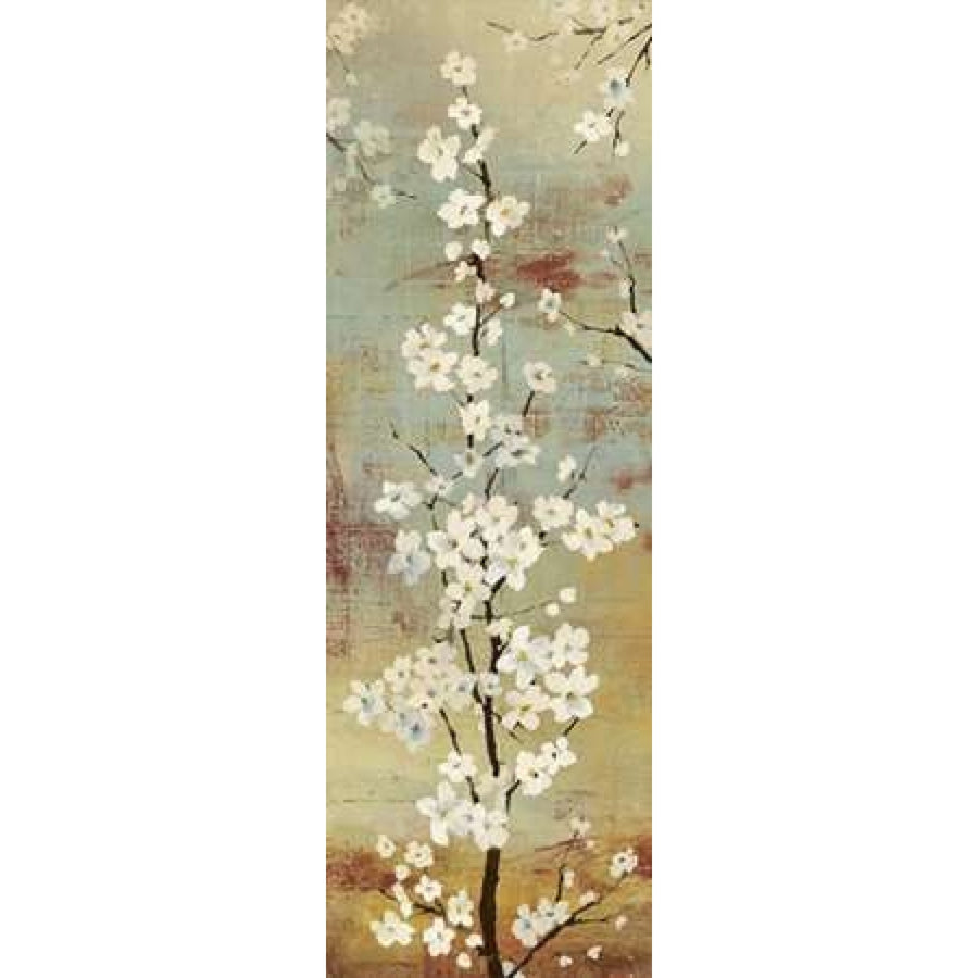 Blossom Canopy II Poster Print by Asia Jensen-VARPDXJNN34 Image 1