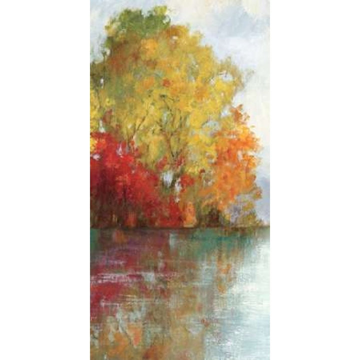 Forest Reflection II Poster Print by Asia Jensen-VARPDXJNN58 Image 1