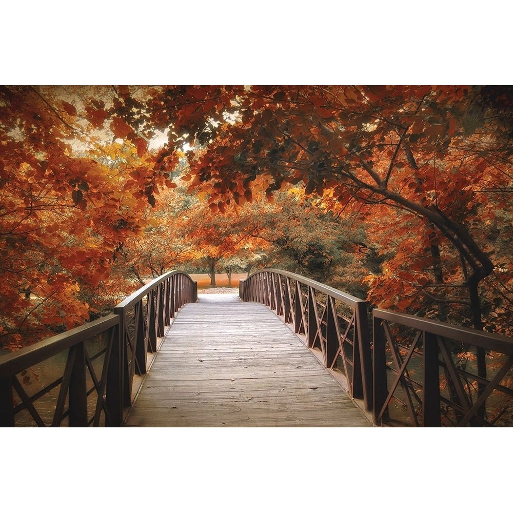 Footbridge Poster Print by Jessica Jenney-VARPDXJNY01 Image 1