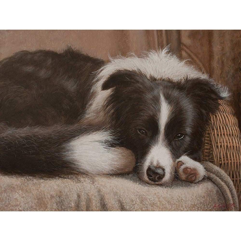 396 Border Collie Poster Print - John Silver-VARPDXJOHSIL250199 Image 1