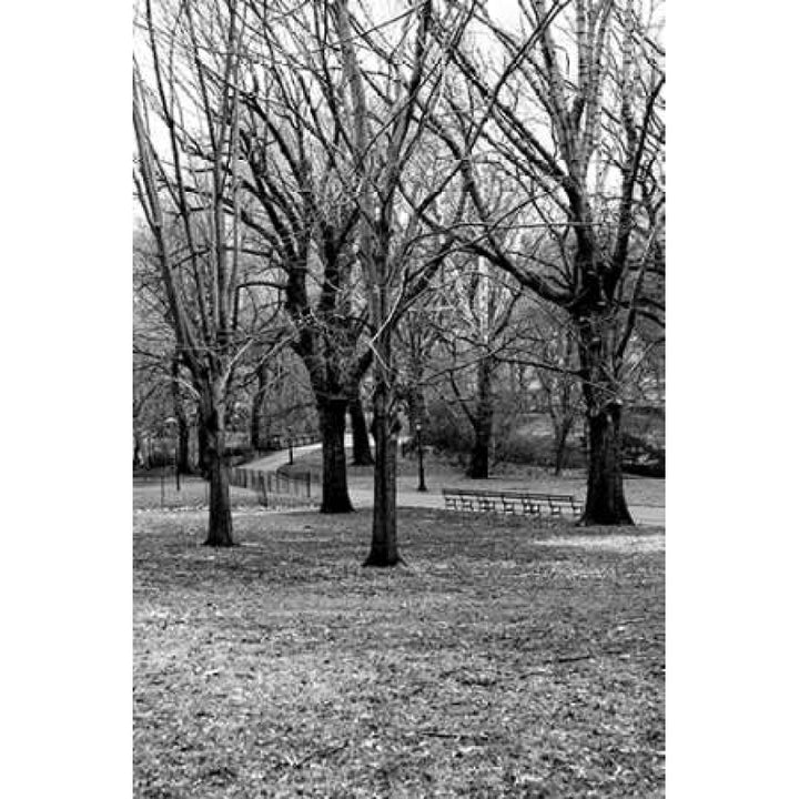 Central Park Image 013 Poster Print by Jace Grey-VARPDXJPIRC019E Image 1