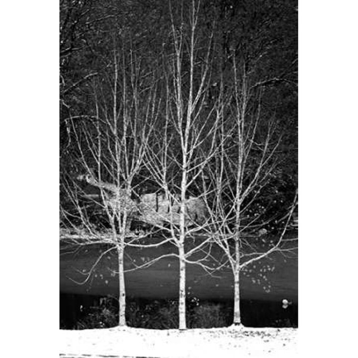 Central Park Three Amigos Winter Poster Print by Jace Grey-VARPDXJPIRC019C Image 1