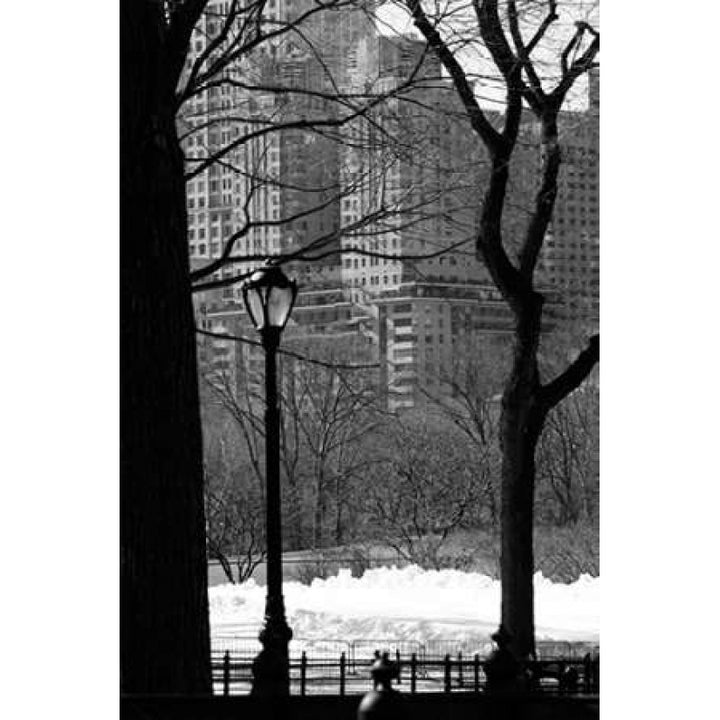 Central Park Concrete Forest Poster Print by Jace Grey-VARPDXJPIRC019D Image 1