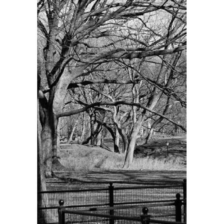 Central Park Image 1745 Poster Print by Jace Grey-VARPDXJPIRC024A Image 1