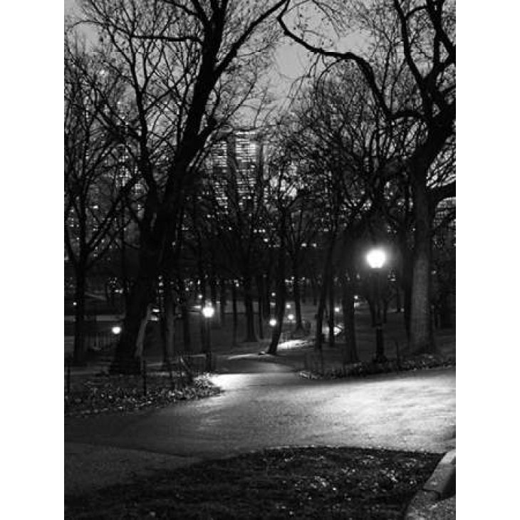 Central Park Night Stroll Poster Print by Jeff Pica-VARPDXJPIRC024G Image 1