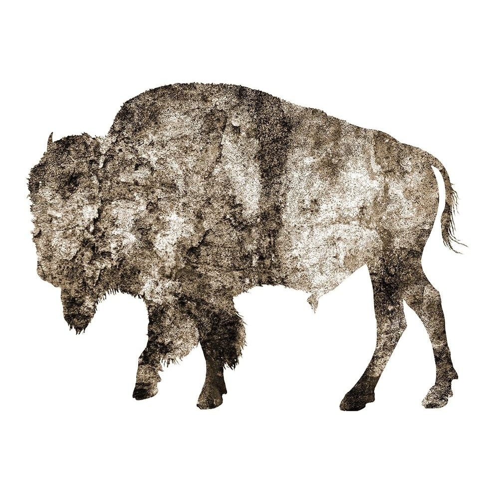 Rustic Bison 2 Poster Print by Jamie Phillip-VARPDXJRH186B Image 1