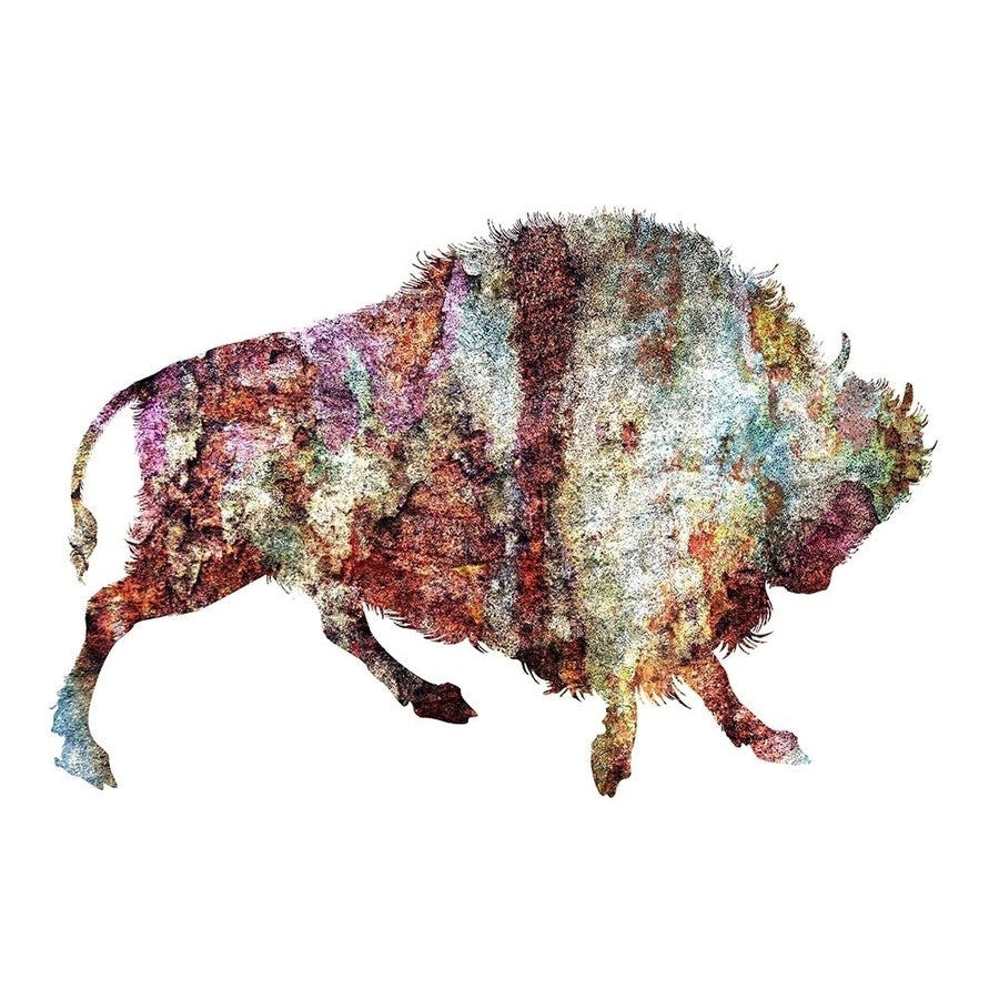 Rustic Bison 4 Poster Print by Jamie Phillip-VARPDXJRH186D Image 1