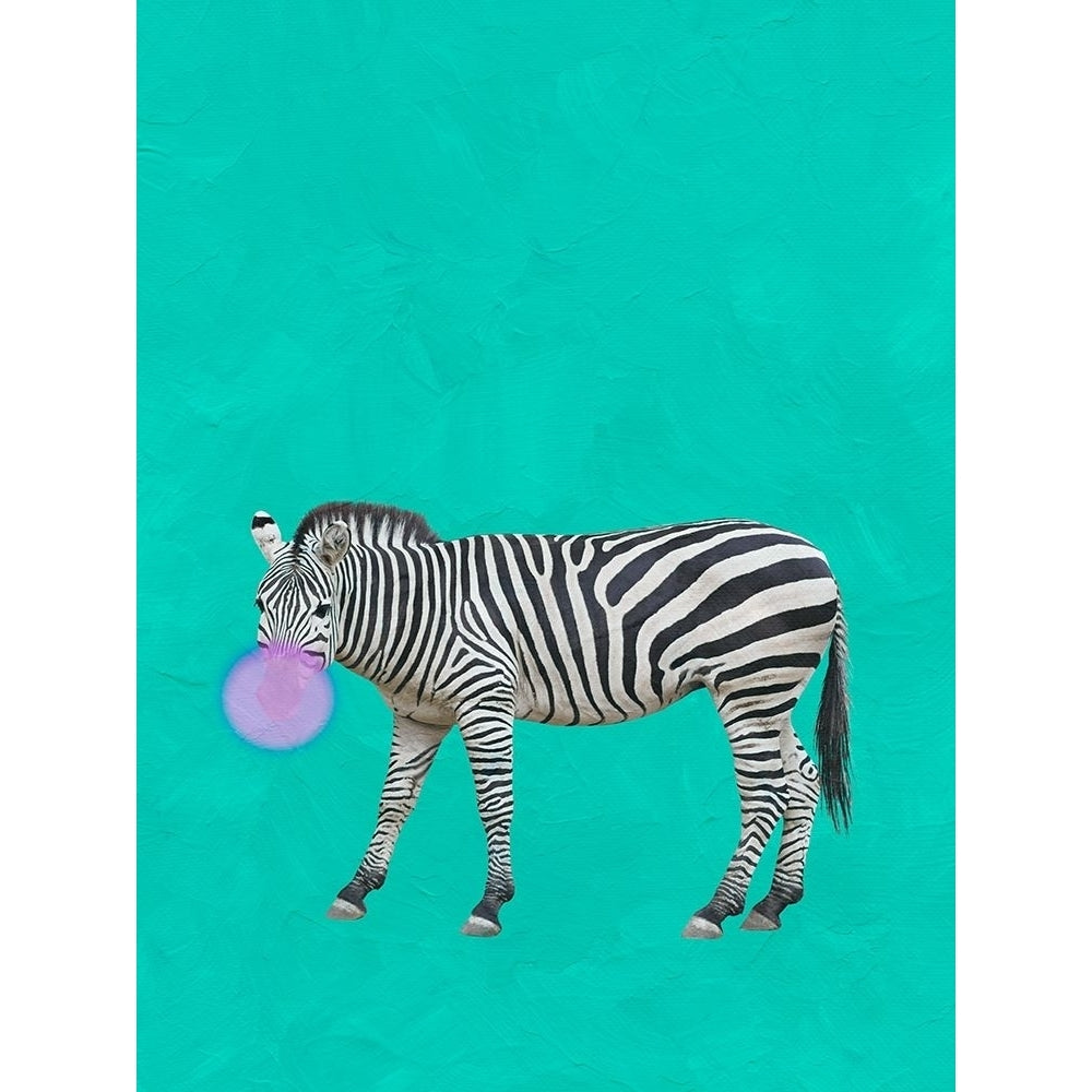 Zebra Bubble Poster Print by Jamie Phillip-VARPDXJRV193A Image 1