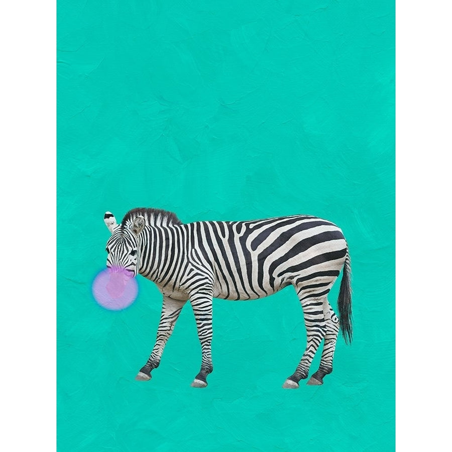 Zebra Bubble Poster Print by Jamie Phillip-VARPDXJRV193A Image 1