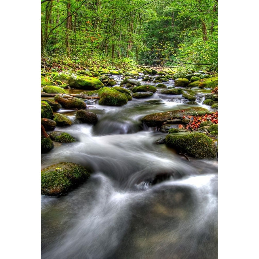 Smoky Mountain Tranquility Poster Print - James West-VARPDXJS020A Image 1