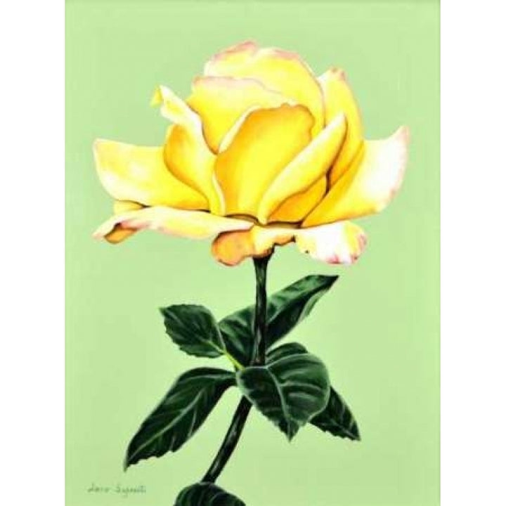 Yellow Rose Poster Print by Jane Segrest-VARPDXJS5001 Image 1