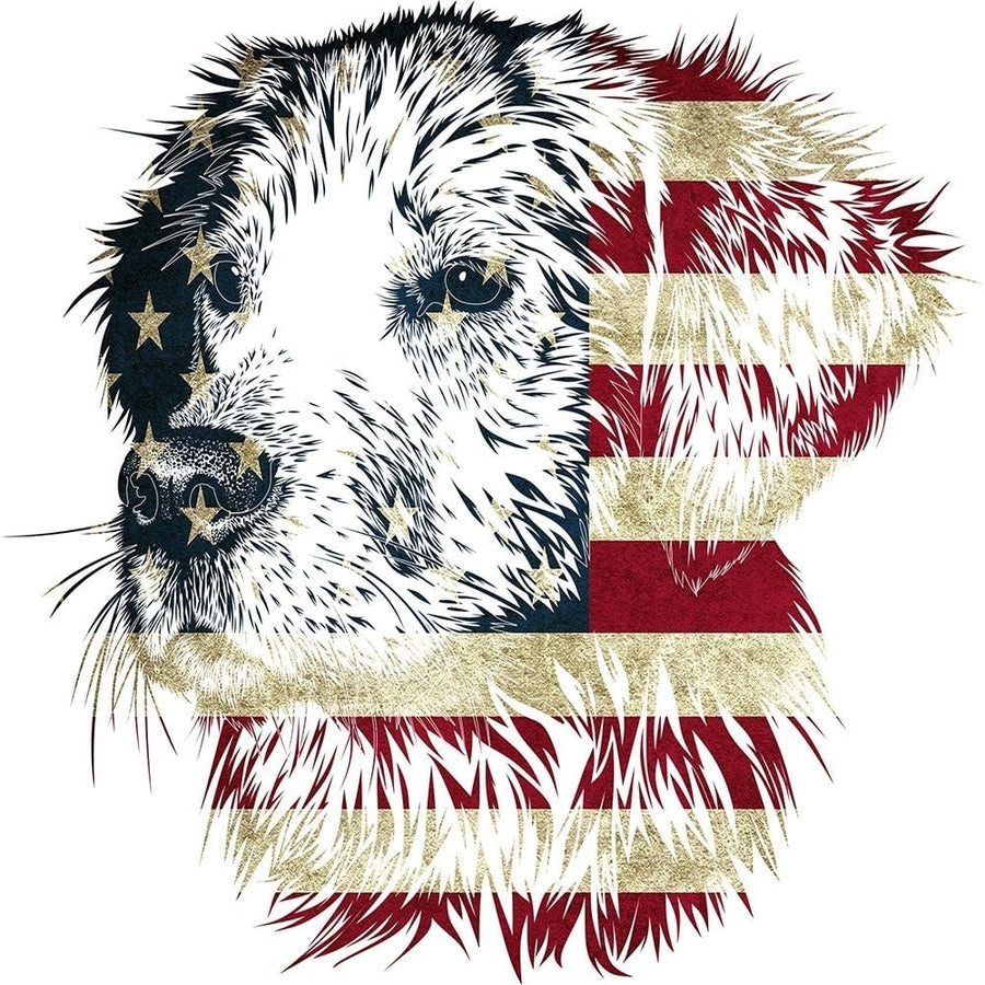 American Dog Poster Print - Jamie Phillip-VARPDXJS759H Image 1